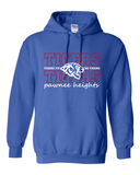 Tigers Logo Adult Sweatshirt and Hoodie