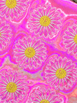 Pink Holographic Daisy